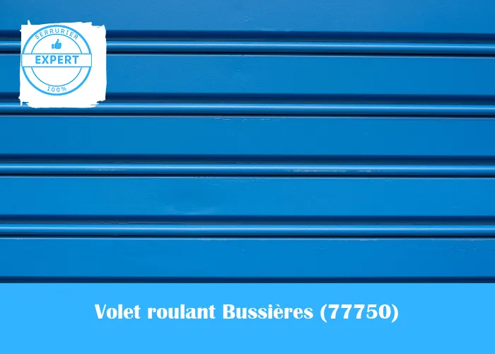 Serrurier volet roulant Bussières